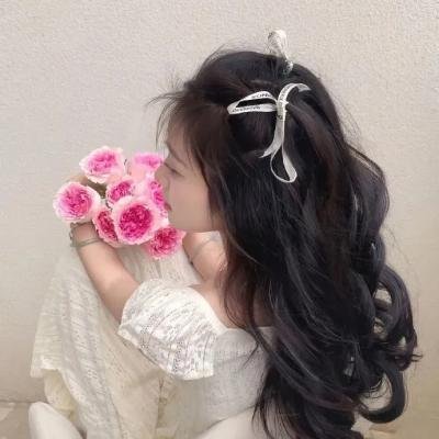 女总裁的全能赘婿